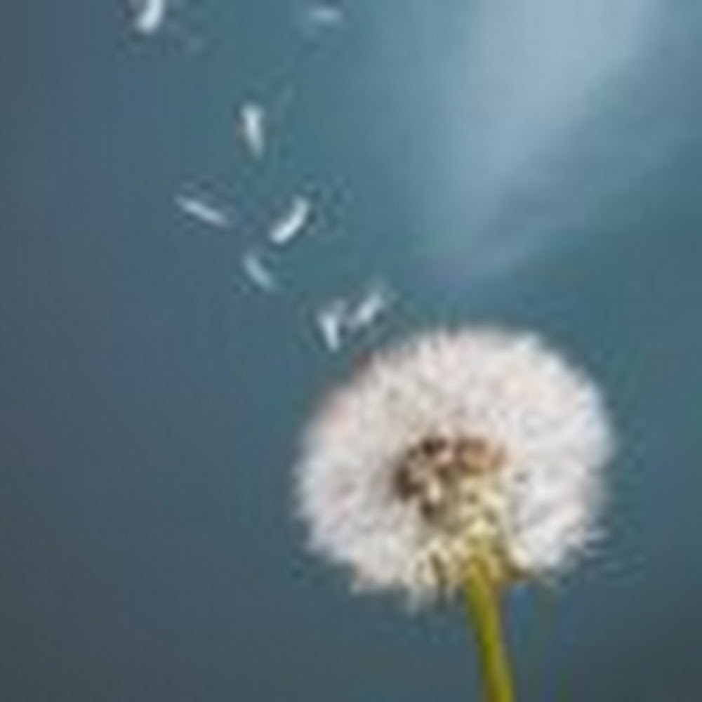 Meet your Posher, Carolyn